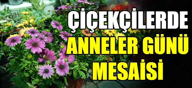 Çiçekçilerin Anneler Günü mesaisi