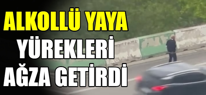 Mudanya yolunda alkollü yaya paniği