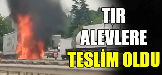 Bursa'da tır alevlere teslim oldu