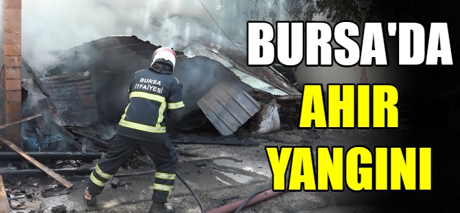 Bursa’da ahırda yangın