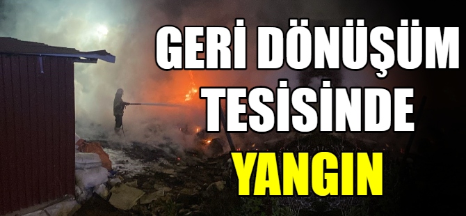 Geri dönüşüm tesisinde yangın