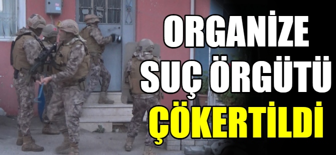 Organize suç örgütü çökertildi