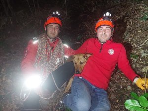 Uludağ'da köpek kurtarma operasyonu