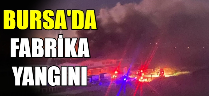 Karacabey'de fabrika yangını