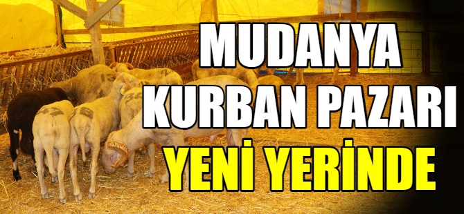 Mudanya Kurban Pazarı yeni yerinde