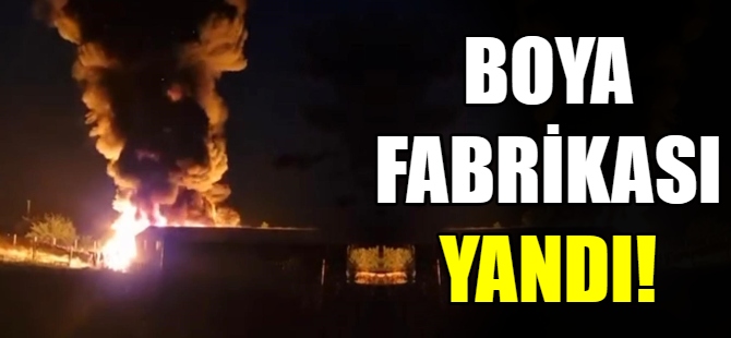 Bursa'da boya fabrikasında yangın