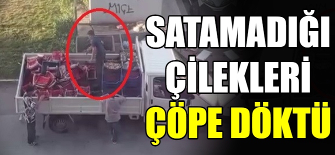 Satamadığı çilekleri çöpe döktü