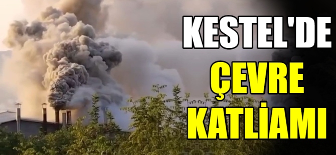 Kestel'de çevre katliamı yaşanıyor