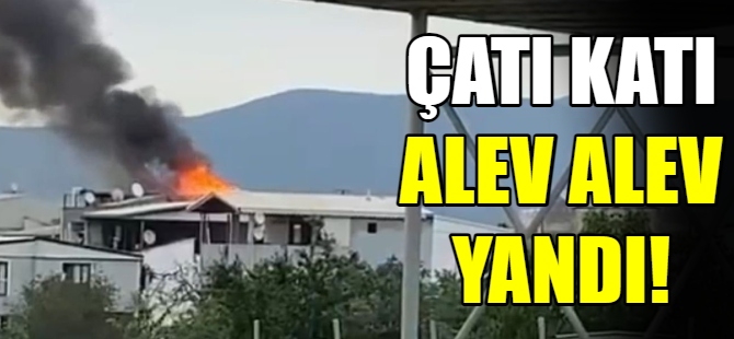 Çatı katı alev alev yandı