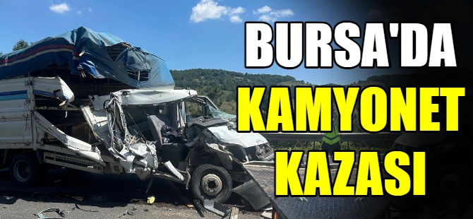 Bursa'da kamyonet kazası