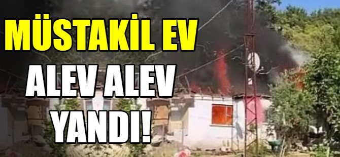 Yazlık ev alev alev yandı