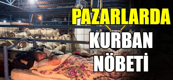 Kurban pazarlarında ilginç görüntüler