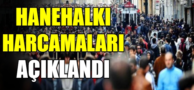 Hanehalkı harcamaları açıklandı