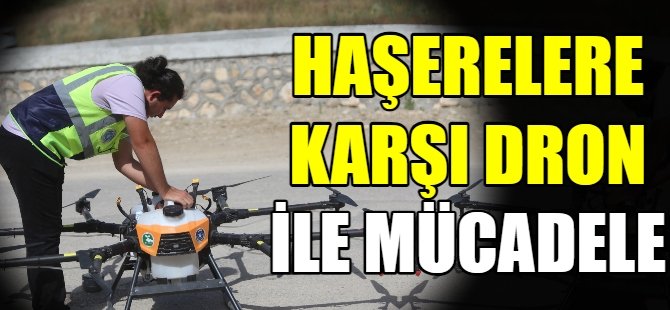 Haşerelere karşı mücadele