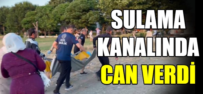 Sulama kanalında can verdi