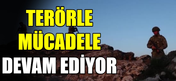 Terörle mücadele devam ediyor