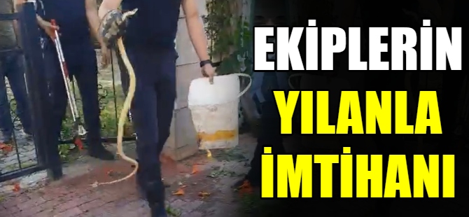 Ekiplerin yılanla imtihanı