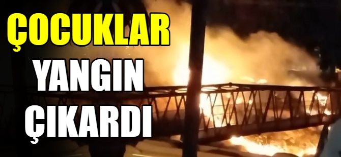 Çocuklar makilik alanda yangın çıkardı