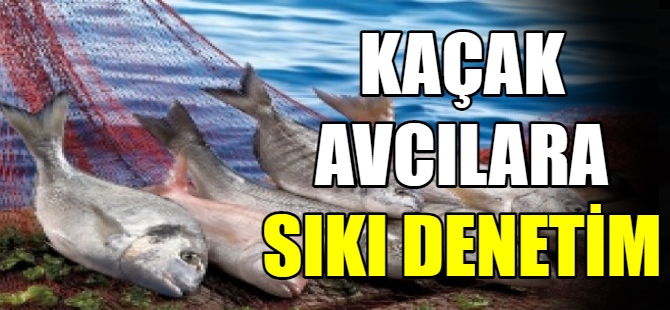 Kaçak su ürününe el konuldu