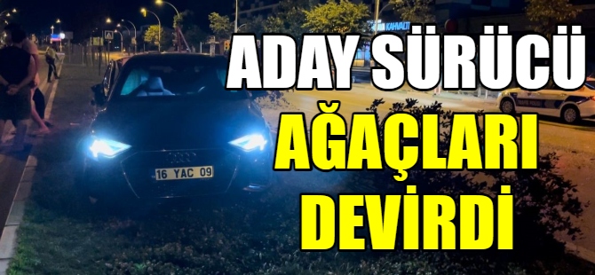 Sürücü adayı ağaçları devirdi