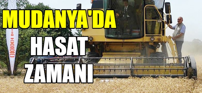 Mudanya'da hasat zamanı