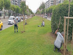 Bursa estetikle buluşuyor