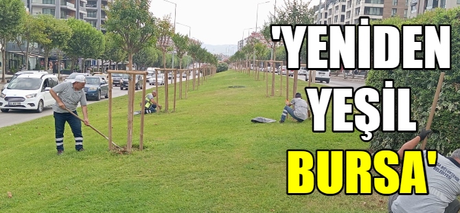 Bursa estetikle buluşuyor