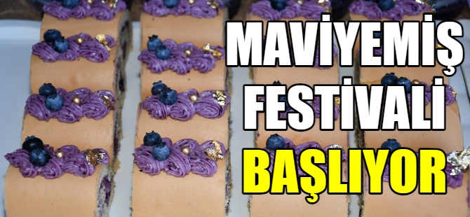 Maviyemiş Festivali başlıyor