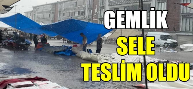 Gemlik sele teslim oldu