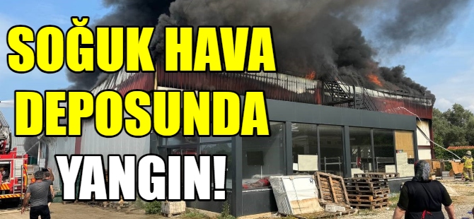 Soğuk hava deposunda yangın