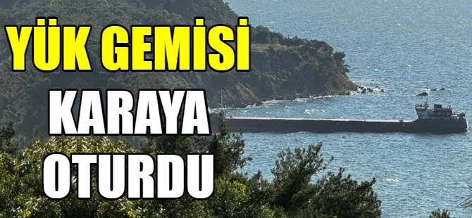 Mudanya’da yük gemisi karaya oturdu