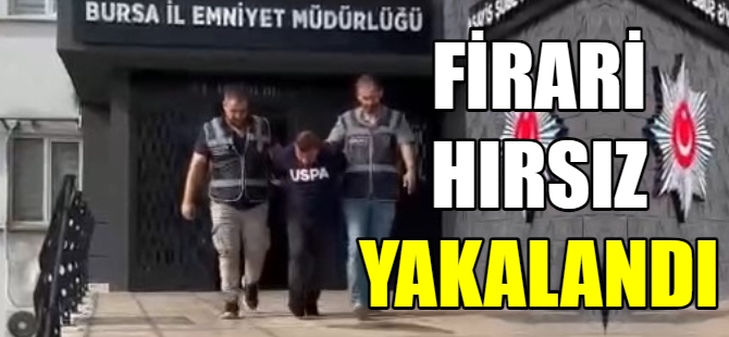 Firarı hırsız yakalandı