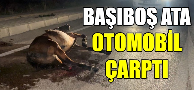 Başıboş ata otomobil çarptı