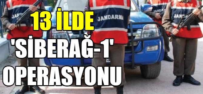 13 ilde ‘Siberağ-1’ operasyonu