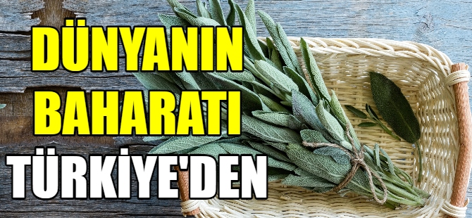 Dünyanın baharatı Türkiye'den