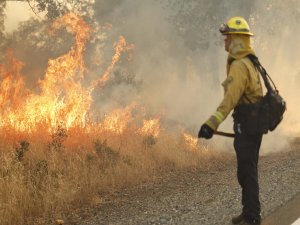 California'da büyük orman yangını