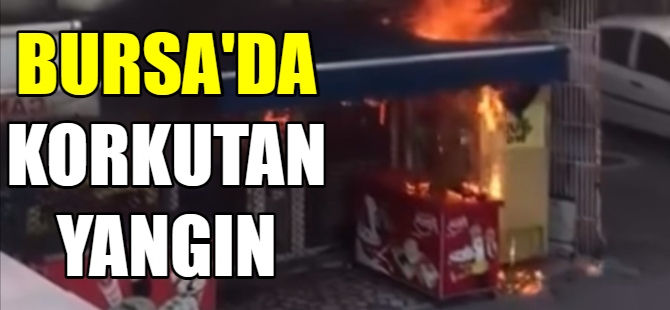 Bursa'da korkutan yangın