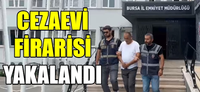 Sahte kimlikle 3 yıl dolaştı