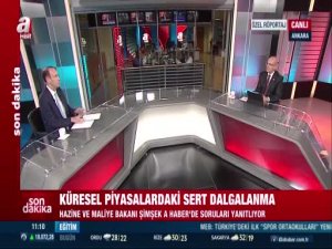 Şimşek: 2025 dezenflasyon yılı olacak