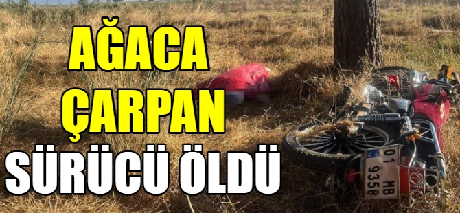 Motosiklet ağaca çarptı: 1 ölü