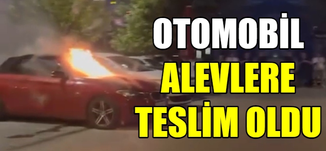 Otomobil alevlere teslim oldu