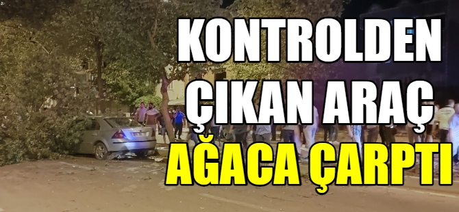 Kontrolden çıkan araç ağaca çarptı