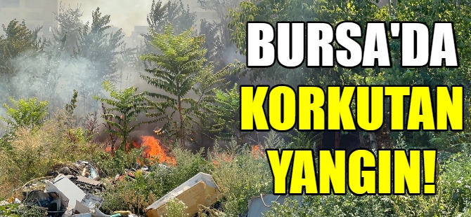 Bursa'da korkutan yangın