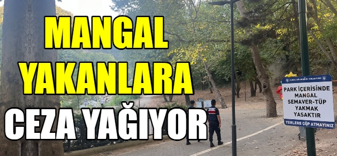 Mangal yakanlara ceza yağıyor