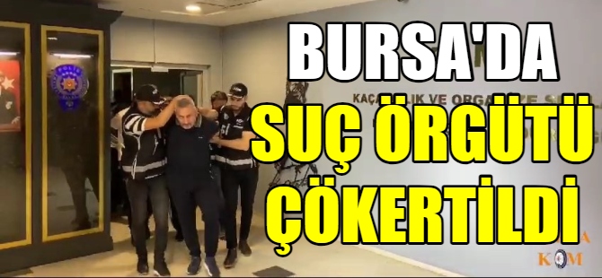 Bursa'da suç örgütü çökertildi