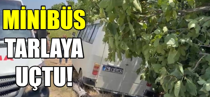 Minibüs tarlaya uçtu