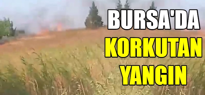 Bursa'da korkutan yangın