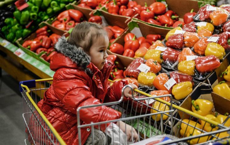 Rusya ambargosu Avrupalı çiftçileri vurdu, kayıp 5,5 milyar Euro
