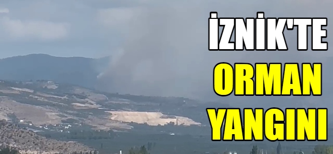 İznik'te orman yangını