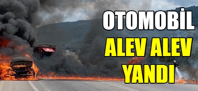 Otomobil alevlere teslim oldu